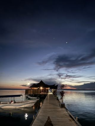 Diving into a paradise 🤿🐳 ~ Maratua 💗