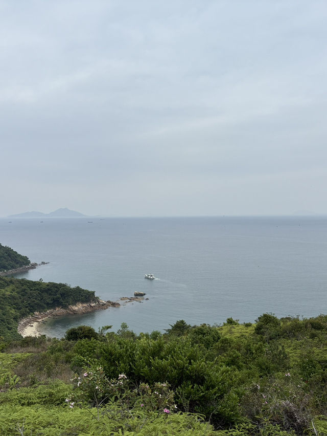 🏝️ 香港南丫島一日遊：從榕樹灣到索罟灣的海風與海鮮之旅！🌊✨