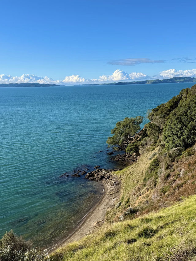 Nature’s Canvas: Exploring New Zealand’s Living Landscapes 