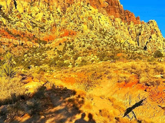 🌄 Oak Creek Canyon – A Scenic Drive Through Nature’s Masterpiece 🍃✨🇺🇸