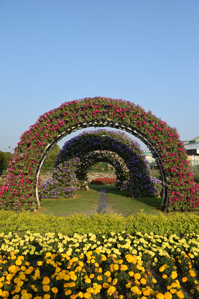 Zhongshe Flower Market in Taichung, Taiwan