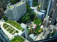 방에서 즐기는 홍콩 야경, 가족여행에 딱 맞는 호텔🏙️