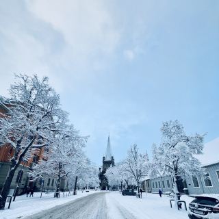 북유럽 빙설 도시 대성당 인문 여행