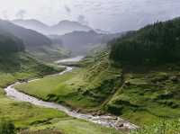 Secret Falls Vibe💧