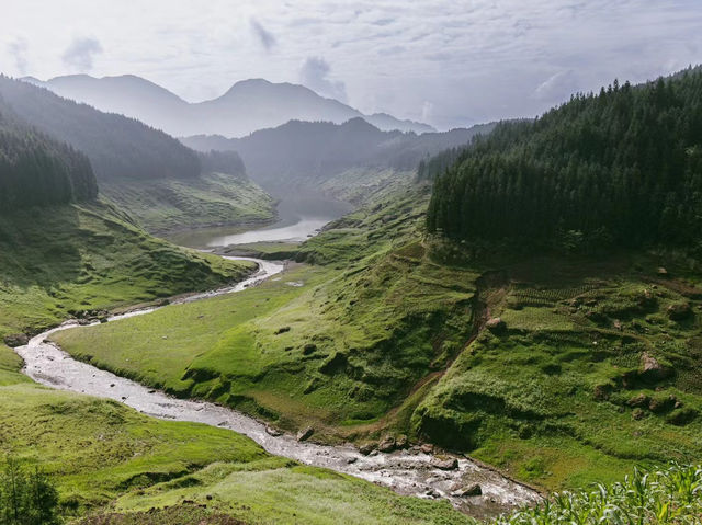 Secret Falls Vibe💧