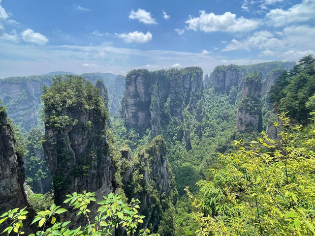 Pillars of Wonder: My Sky-High Escape to Yuanjiajie