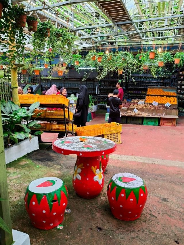 Explore Fresh Vegetables @Agro Adventure Here🌾