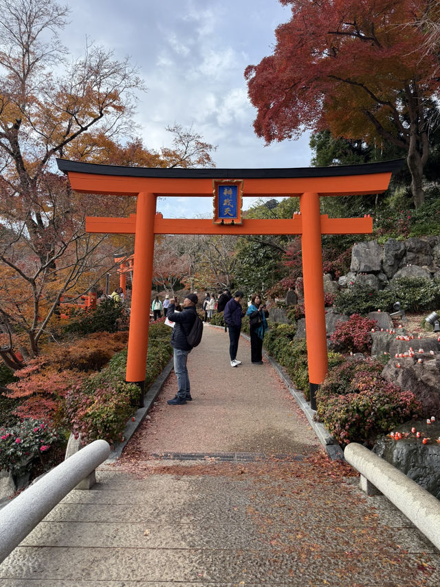 大阪近郊紅葉靚景（期間限定）