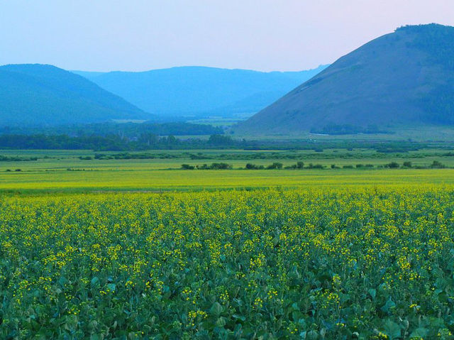 Hulunbuir Grasslands