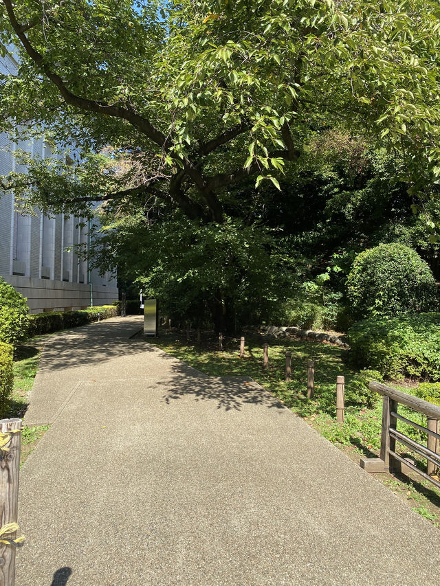【東京都上野🇯🇵東京国立博物館　庭園】歴史に触れながらのんびり散歩☺️