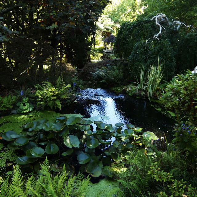 Ayrlies Garden and Wetlands