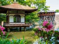 Yuyuen Garden สวนจีนโบราณที่งดงามราวบทกวี
