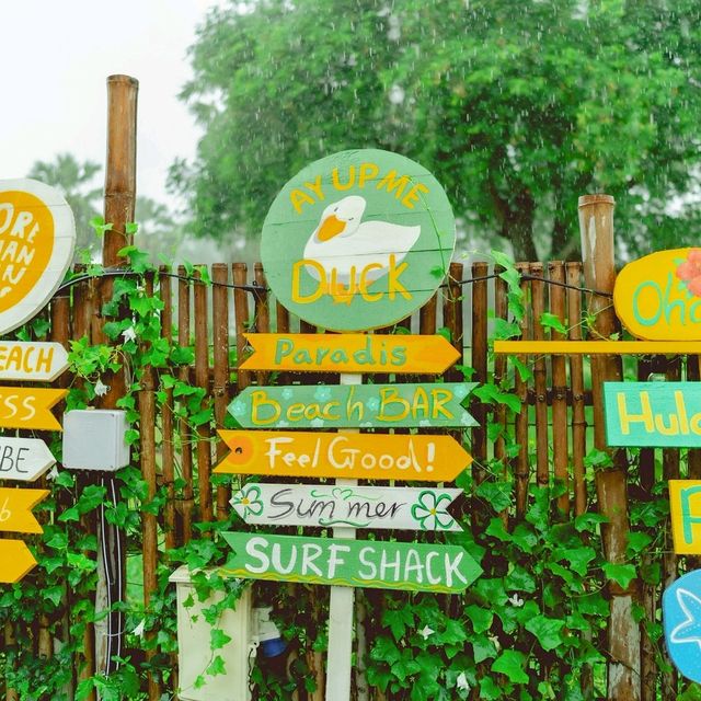 More Than Beach & Cafe