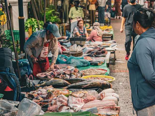 Morning Market