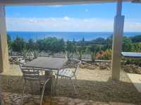 수영못함 미야코지마