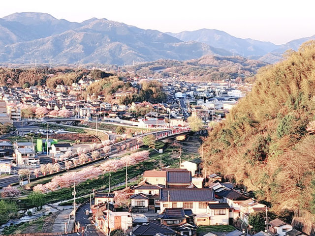 The Castle in the Mist: My Return to Tsuyama Castle