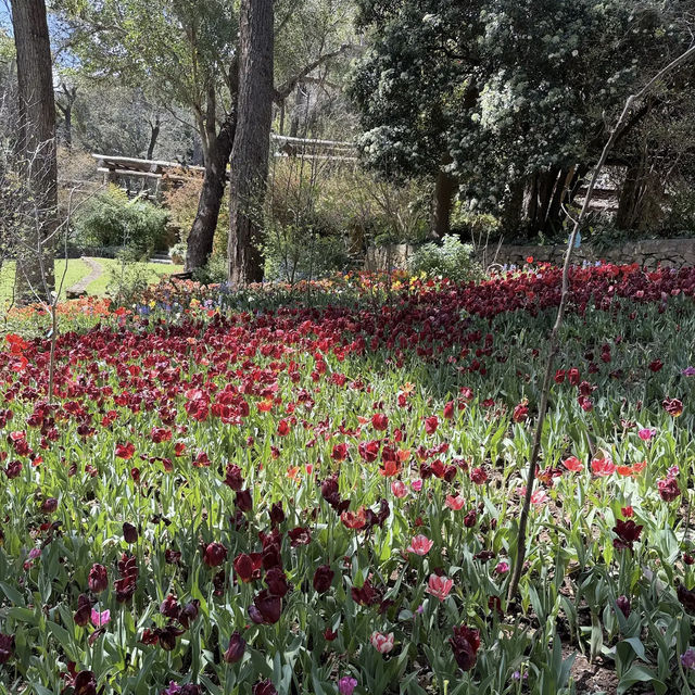 Araluen Botanic Park