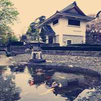 The Misty Phoenix: My Solo Visit to Maruoka Castle, Fukui