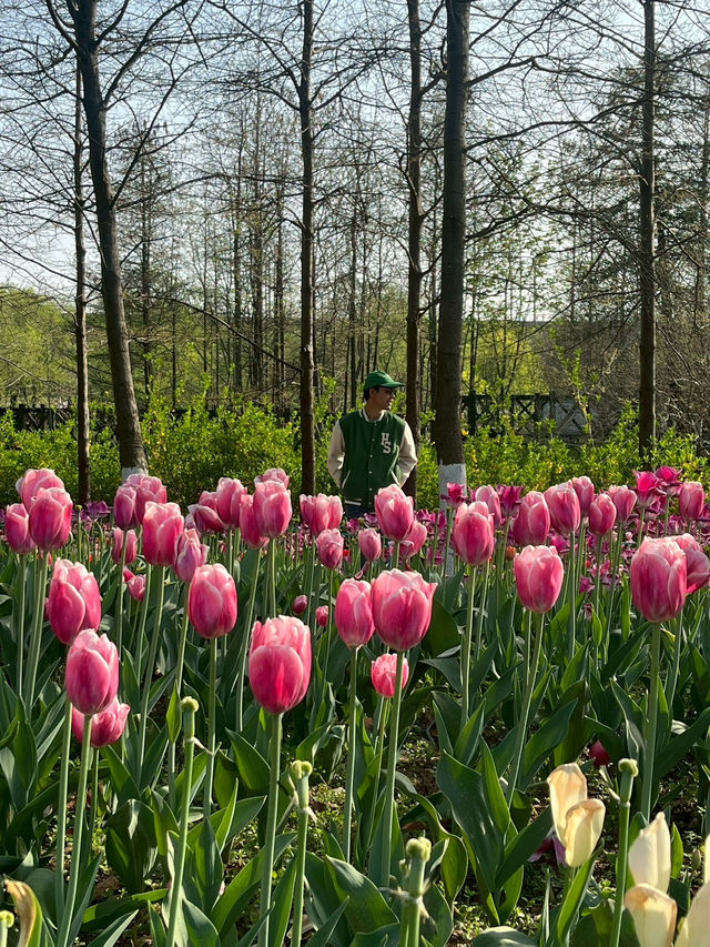 สวนพฤกษศาสตร์ที่สดชื่นที่สุดในหนิงโป 🌳🌸 