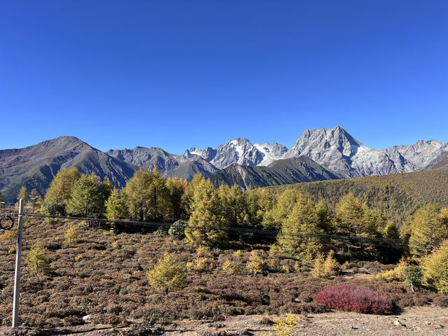 Bai Ma Snow Mountain
