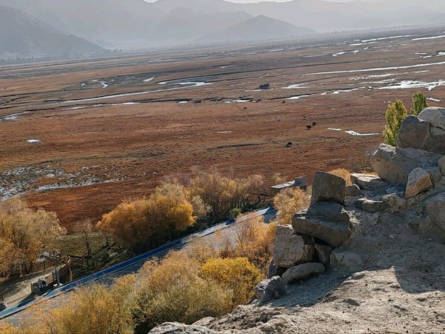 A Bird's-Eye View of the Golden Grassland: A Golden Scroll on the Pamir Plateau