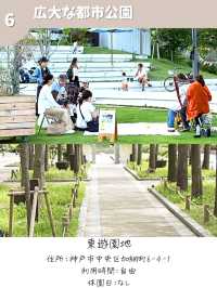【兵庫】公園ピクニックスポット7選