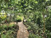 Jeju herb garden