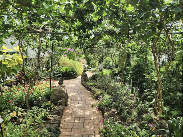Jeju herb garden