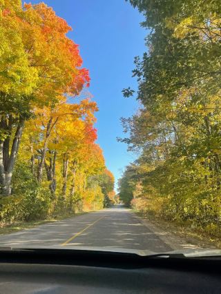 If you thought Tiny was just a tranquil lake, you haven't discovered the autumn fairytale that is Awenda Provincial Park! I drove here specifically to explore this park's hidden beach—thinking it was just a forest? Wrong! Here, the blue skies and white clouds reflect on the water, and the trees lining the beach are a vibrant riot of color—truly soothing. The park is open year-round, offering a unique spectacle no matter the season, but autumn is definitely the peak of color.

🏞️ Highlights of Awenda Provincial Park:
1. A Beach Paradise: Many people may only think of it as a hiking and camping destination, but the fine white sand beach by the lake is truly beyond imagination! In autumn, the cool breeze, the shimmering water, the soft sand beneath your feet, and the intertwining red and yellow trees around you are definitely worth the drive.
2. Autumn Forest: Walking along the lakeside, the leaves are like an overturned palette, with layers of orange, red, yellow, and green cascading across the landscape, creating stunning natural images. 3. Scenic Trails: For a deeper immersion in nature, explore the park's many walking trails. Get up close to the lake, listen to the wind, and watch the birds—all while refreshing your mood.

🌅Practical Itinerary Recommendations:
🗓We recommend a half-day or full-day trip. Start in the morning from downtown Penetanguishene (about a 20-minute drive) and enjoy the small town and countryside along the way.

Upon arrival at Awenda Provincial Park, it's recommended to pick up a map at the Information Center. Drive from the main entrance toward the lake, stopping at the beach area. Find a spot of grass or shaded by a tree—perfect for a picnic or just relaxing. 📍Address: Box 5004, Penetanguishene, Ontario L9M 2G2, Canada
⏰Opening Hours: Open year-round, all day (though autumn and winter are colder, the scenery is at its most beautiful, so remember to dress warmly).

🚗Transportation Tips:
Driving is the most convenient option, as roads are in good condition. However, during autumn, when leaves are falling, please be careful when driving. There are multiple parking lots within the park, and finding a spot near the beach is easy. You can also consider taking a taxi from Port McNicoll or Midland.

🍔Food Tips:
While there aren't many restaurants near the park, it's recommended to bring a light meal or snack. We recommend picking up fresh bakery items from Penetanguishene's main street and bringing them into the park for a romantic picnic by the lake.

🧺Practical Travel Tips (Experienced):
Bear a windbreaker; the lake can be windy in autumn. Bring a picnic mat and, on a nice day, a book, and relax in the shade. It's a truly relaxing experience. The sand is sandy and you can walk barefoot on it, but be careful near the water, as it can be slippery. Make sure to charge your phone and camera; you'll be snapping away here!

We especially recommend visiting the park in the morning or evening, when the light is softer and the colors are more vivid, perfect for a leisurely stroll.

#TinyAutumnTravel #AwendaProvincialPark #BeachCheck-InRecommended #NaturalHealing #OutdoorPicnicSuggestions