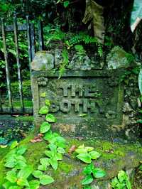 Unplug & Unwind: My Open-Air Stay in Hulu Langat