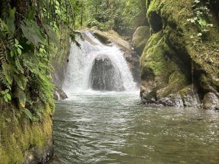 A Thrilling Ride Above the Clouds of Mindo