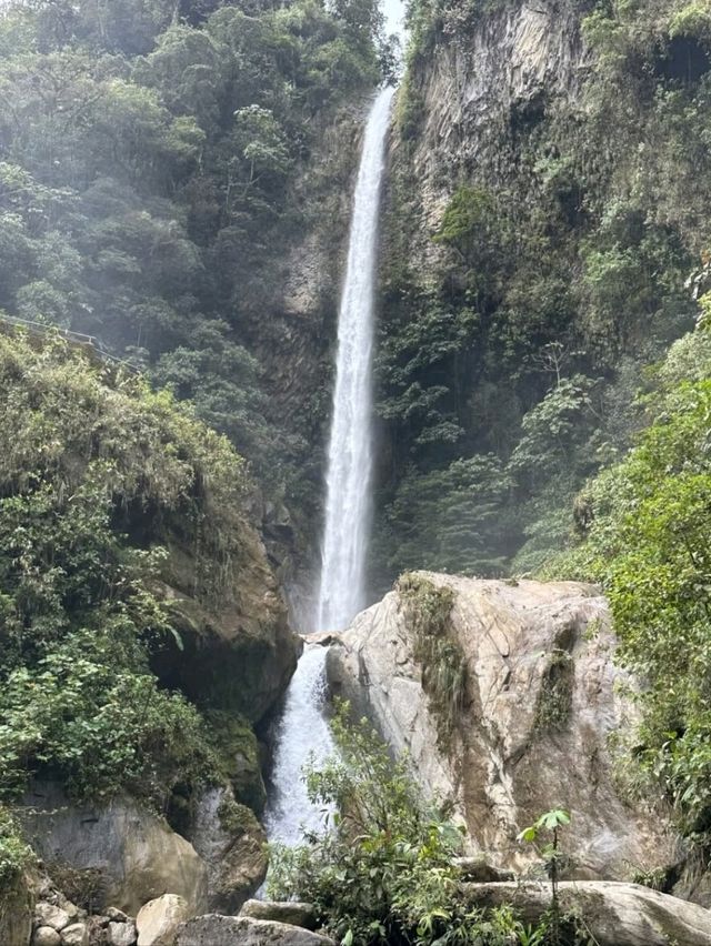 A Hidden Jungle Gem at the End of an Adventurous Trail