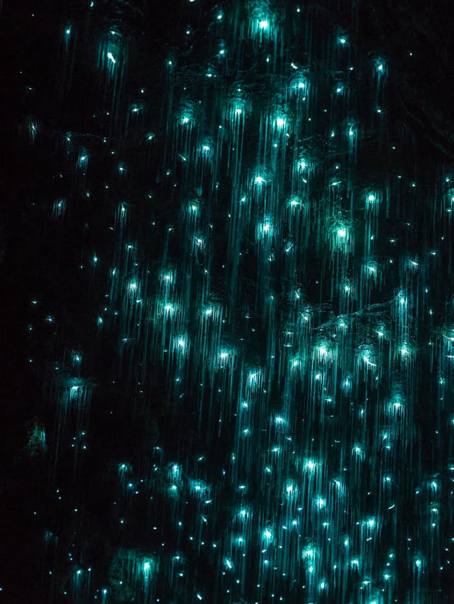 地底に広がる星空の世界へ—ワイトモ洞窟で出会う幻想の光景✨ 地底に広がる星空の世界へ—ワイトモ洞窟で出会う幻想の光景✨