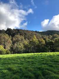 Best Friend Holiday Retreat：在 Tarra Valley 遇见最简单的快乐