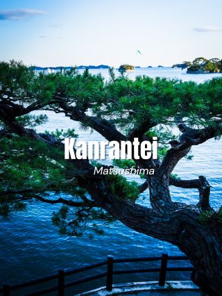 永恆的貴賓席🏯