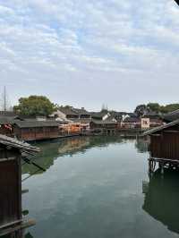 🍵 烏鎮早茶客|一定要吃一頓早茶,水鄉早晨最治癒的開始!