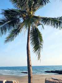 “หาดแหลมแม่พิมพ์ ระยอง – ทะเลใสเที่ยวง่าย ใกล้กรุง