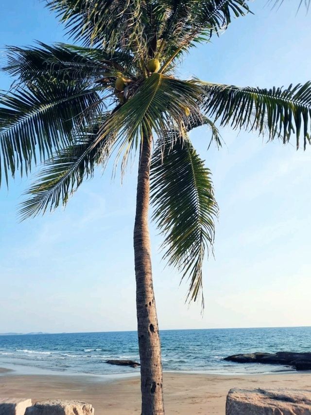 “หาดแหลมแม่พิมพ์ ระยอง – ทะเลใสเที่ยวง่าย ใกล้กรุง “หาดแหลมแม่พิมพ์ ระยอง – ทะเลใสเที่ยวง่าย ใกล้กรุง