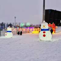 Winter Magic: Christmas Dreams in Rovaniemi 