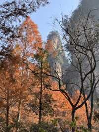 3 Days in Zhangjiajie National Park: A Quick Intro