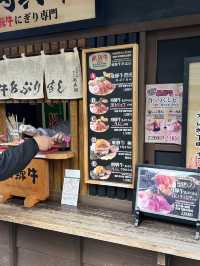 Inuyama Autumn Walk🍁