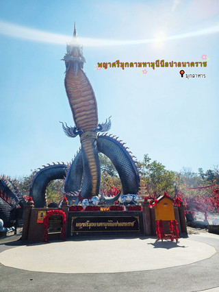 🐉 พญาศรีมุกดามหามุนีนีลปาลนาคราช จ.มุกดาหาร
