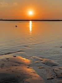 🌅 Sunrise in Sanur: The Best Way to Start Your Bali Day! 🚲☕️