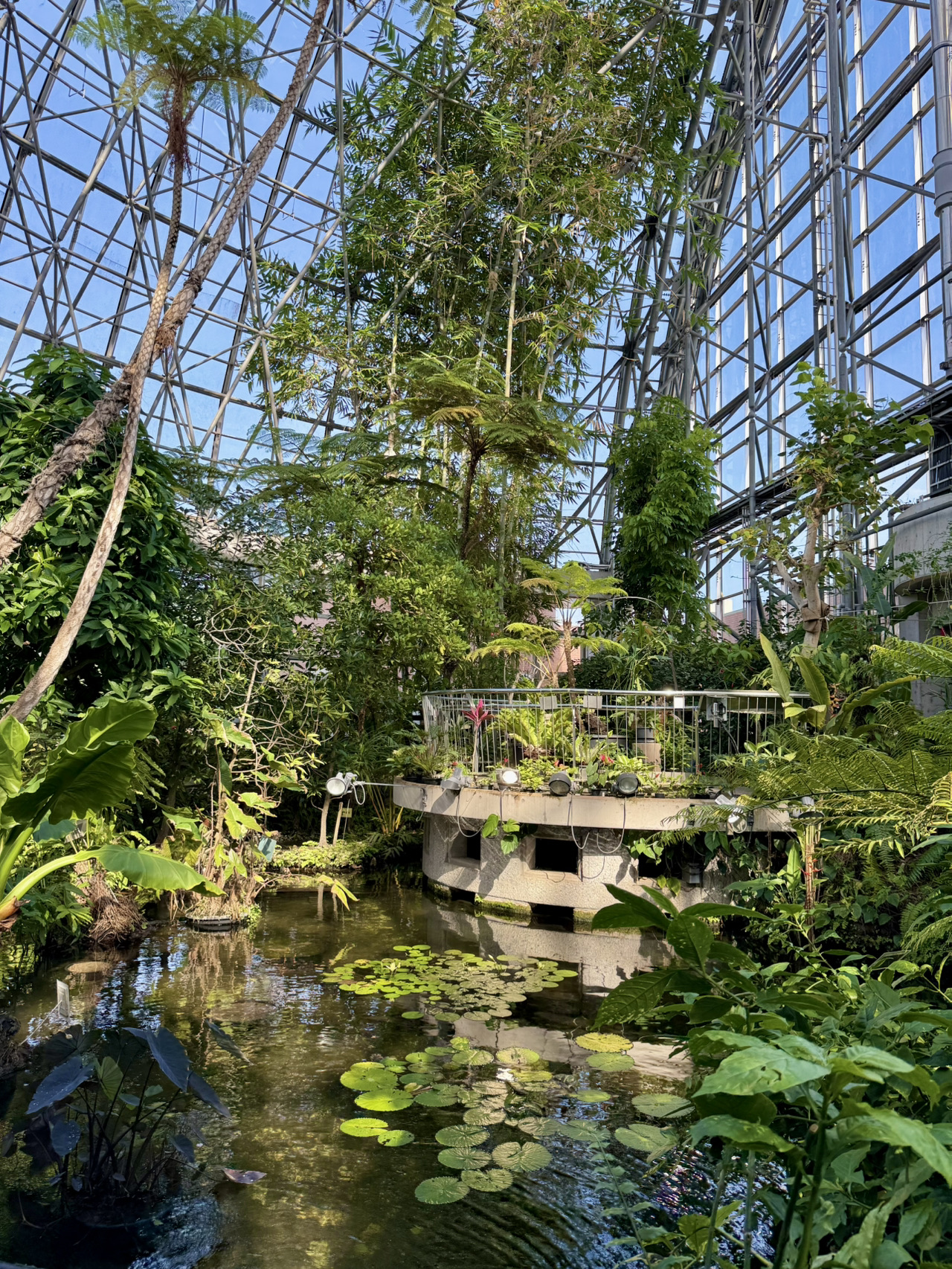 yumenoshima tropical greenhouse dome