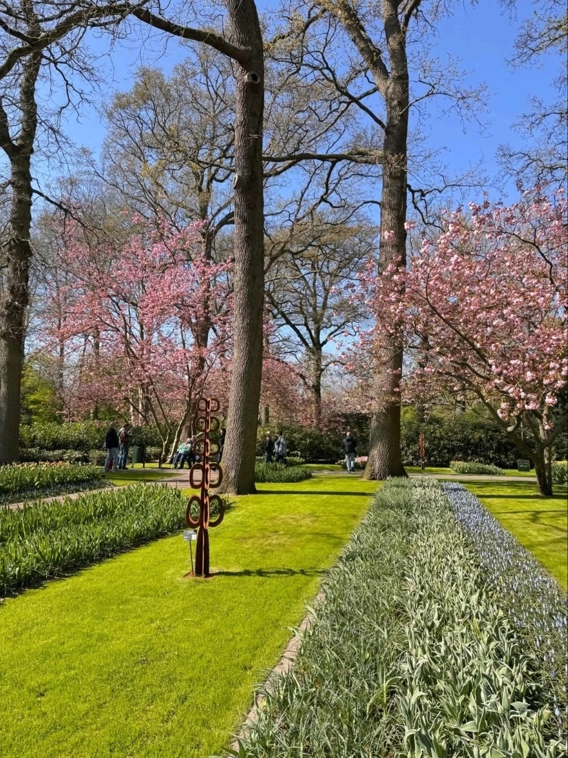 チューリップと桜が織りなす夢のような春の庭。 | Trip.com リスセ