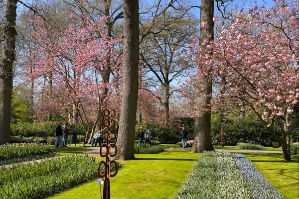 チューリップと桜が織りなす夢のような春の庭。 | Trip.com リスセ