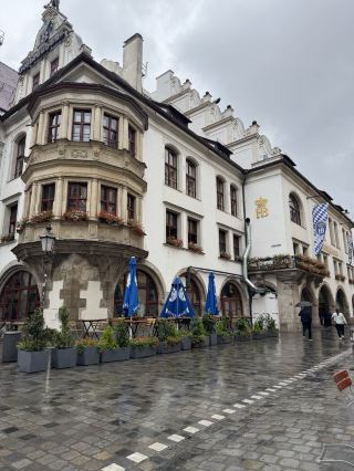 The Soul of Munich: Experience the Most Authentic Bavarian Revelry at the Hofbräuhaus.