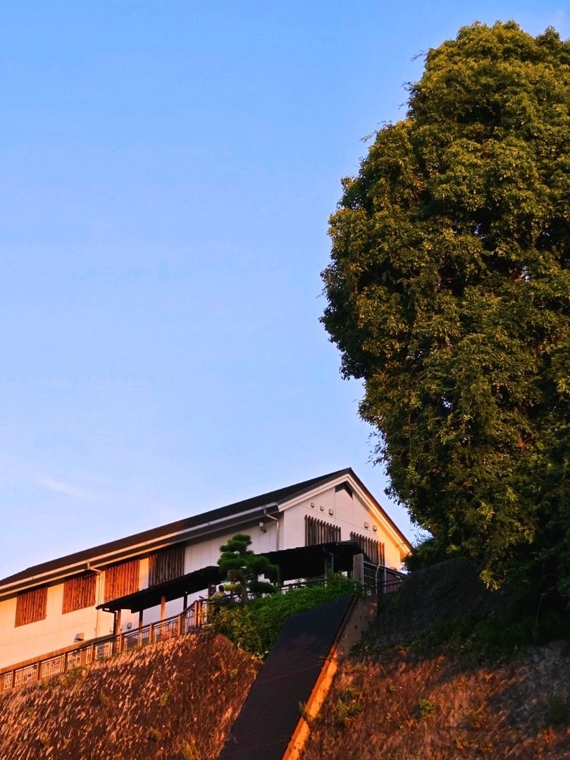 Recommended 2-Night, 3-Day Itinerary for Matsuyama, a Charming