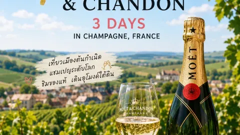 🍾 ตามรอย Moët & Chandon 3 วัน 2 คืน เที่ยวแคว้น Champagne แ — traveler post in Epernay