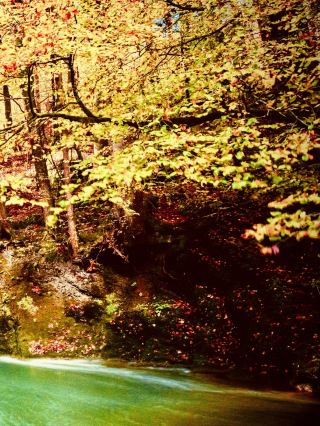 Bolivia Ríos Negros Valles Cruceños Mossy Rainforest Driveeasytravelpost #RiosNegros #Samaipata #Mo